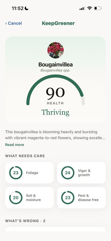 KeepGreener app screenshot: a plant scored 90, Thriving, with a care breakdown